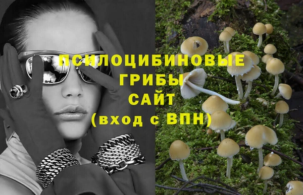 МДПВ Богородицк