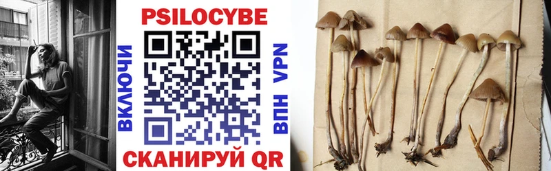 Псилоцибиновые грибы MAGIC MUSHROOMS  Нелидово 